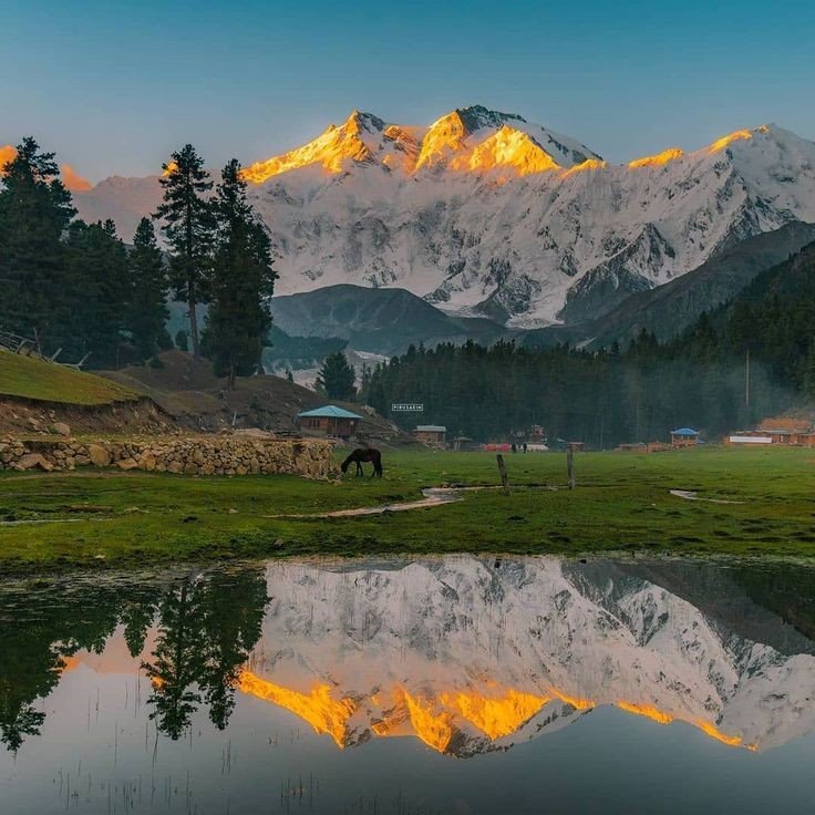 Shimla Kullu Manali Couple tour 